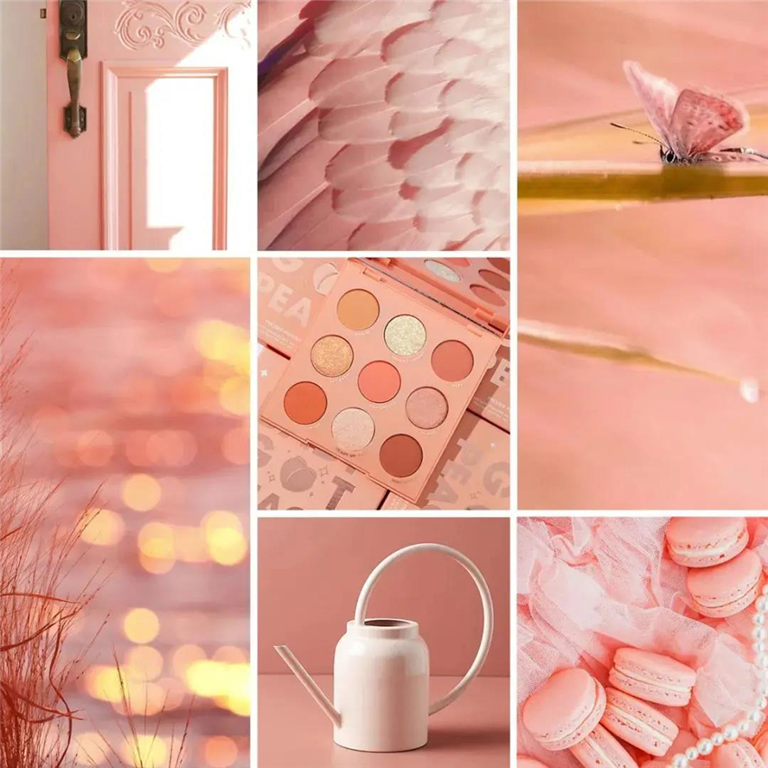 1624092245168426.jpg 微信圖片_20210619164333.jpg